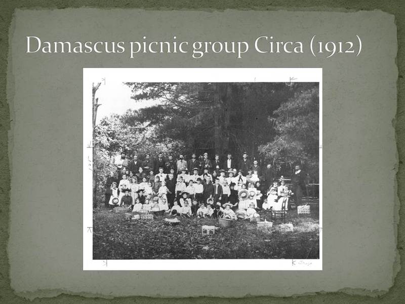 Picnic group